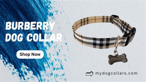 burberry jacket for dogs|burberry dog collars and leashes.